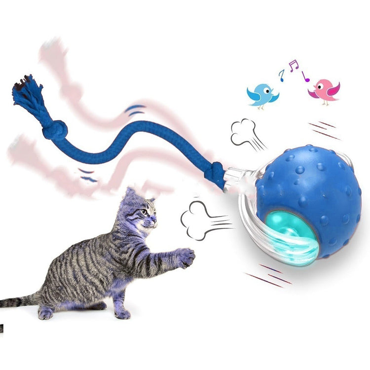 Interactive Cat Toy Ball Super Drive Cat Rolling Ball The birds call is Blue