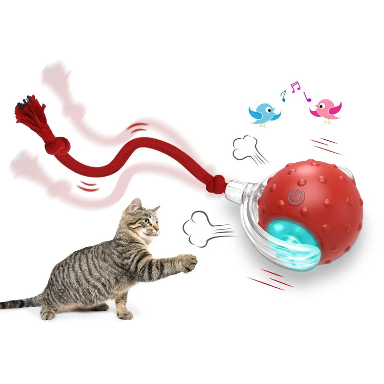 Interactive Cat Toy Ball Super Drive Cat Rolling Ball The birds call is red