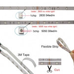 DC12V 1M 5M SMD 5050 RGB White Waterproof 300 LED Flexible  Tape Strip Light